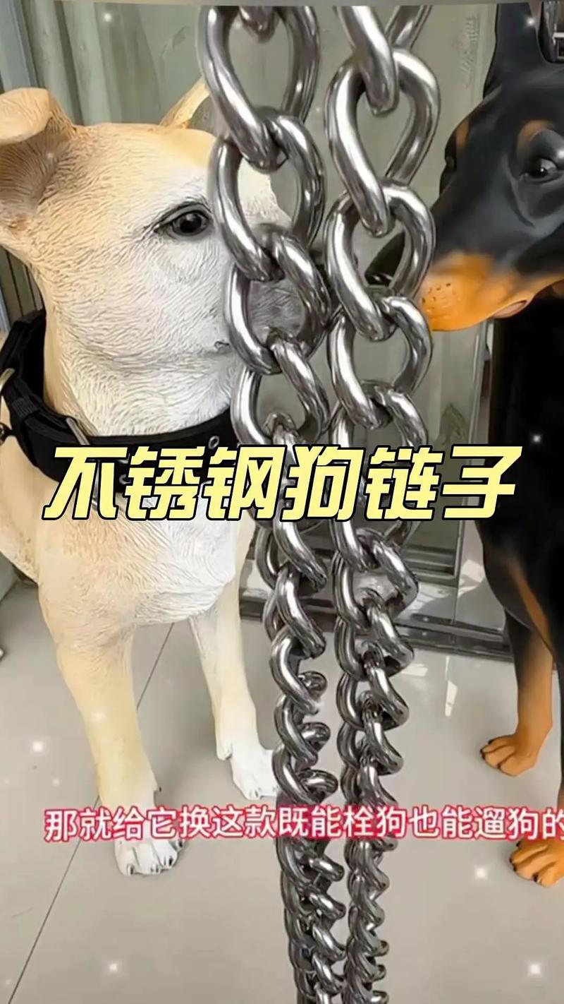 抖音 铁链拴脖子的狗