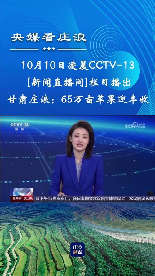 青岛新闻综合频道直播