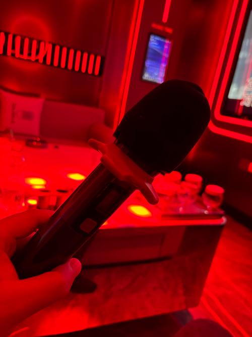 全民k歌直播没声音