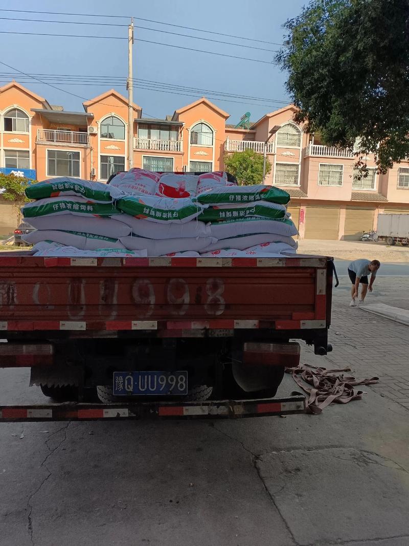 猪速养 猪饲料 抖音