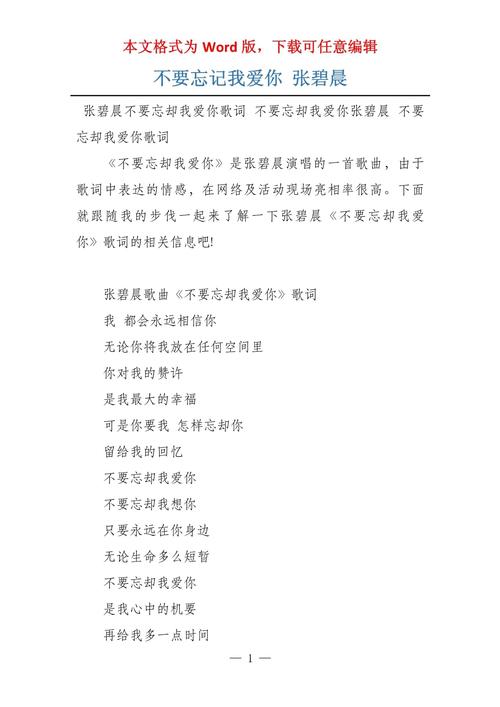 抖音里面不要忘的歌词