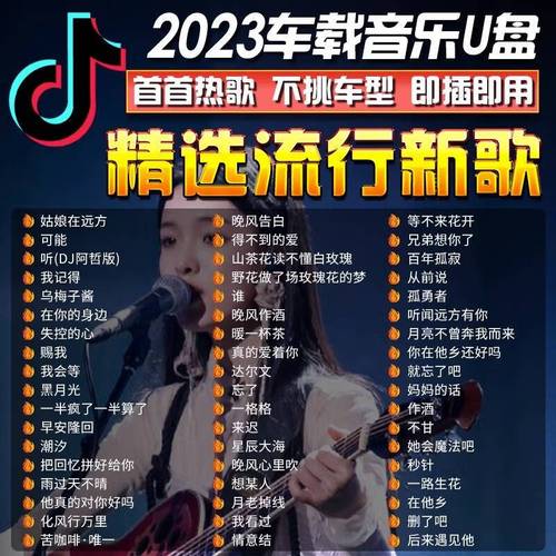 抖音车载音响是什么歌