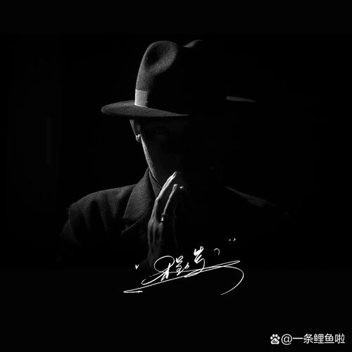 快手神秘人的头像谁有