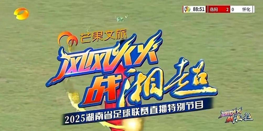 湖南卫视直播播放器