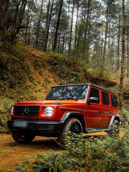 快手牌牌琦买的什么车