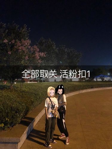 快手活粉是什么意思啊