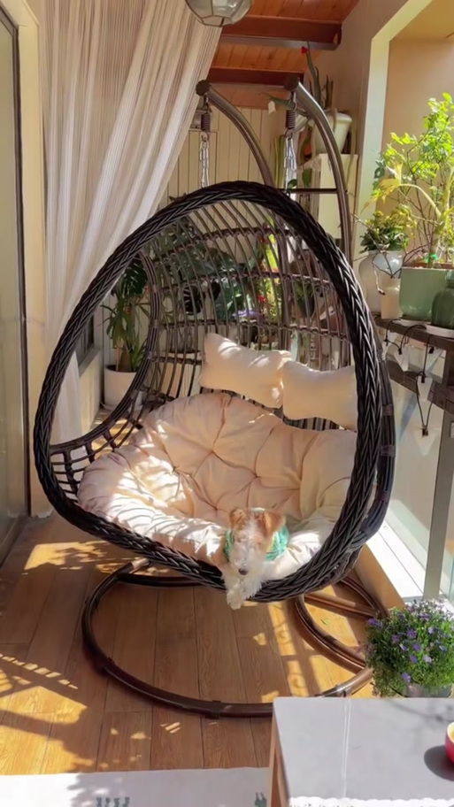 抖音卧室悬挂简约吊床