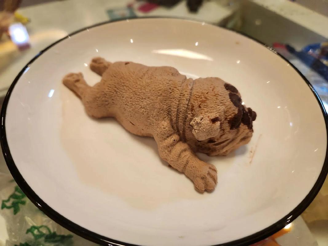 抖音里沙皮狗狗冰激凌