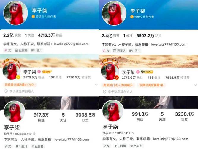 快手10万粉丝广告费