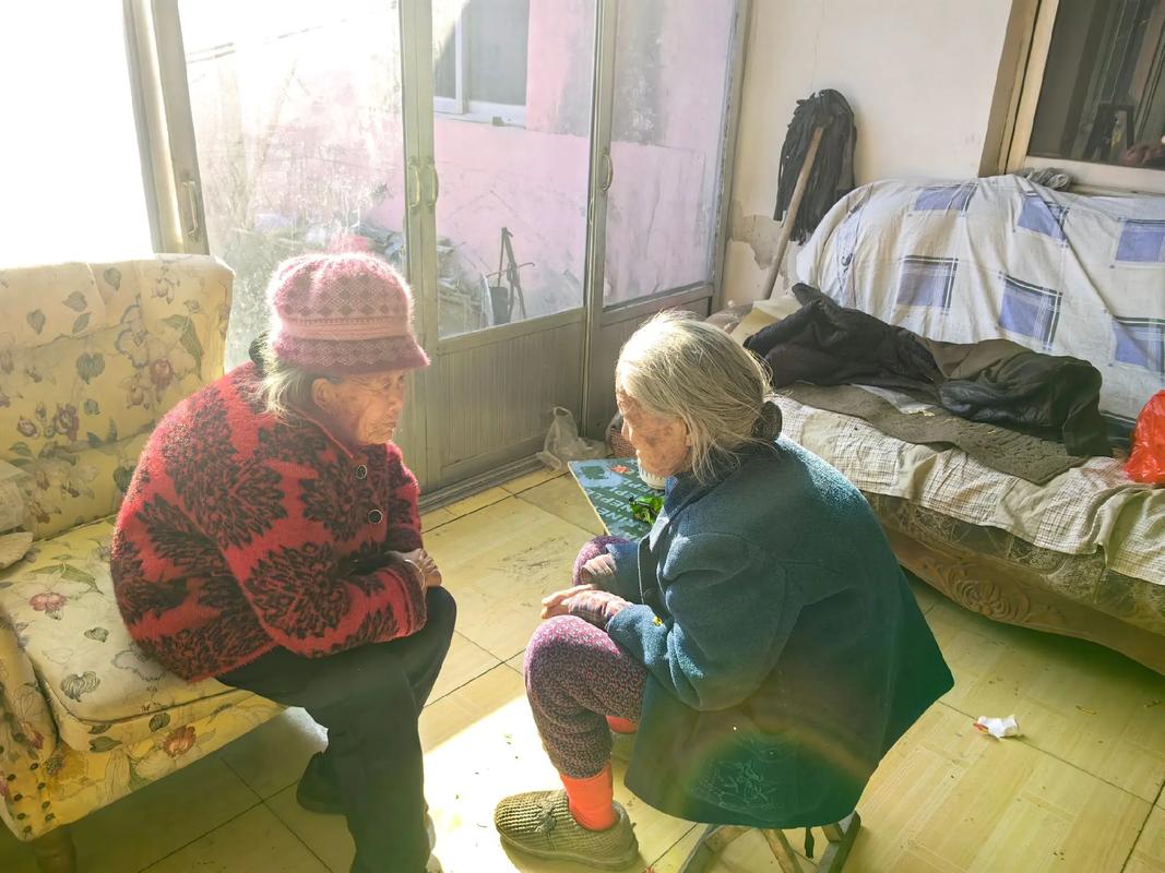 快手老奶奶对对讲的对