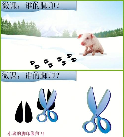 抖音宝宝脚印什么成语