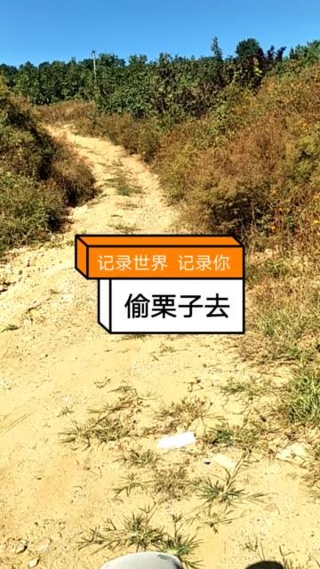 快手木木和苹果的照片