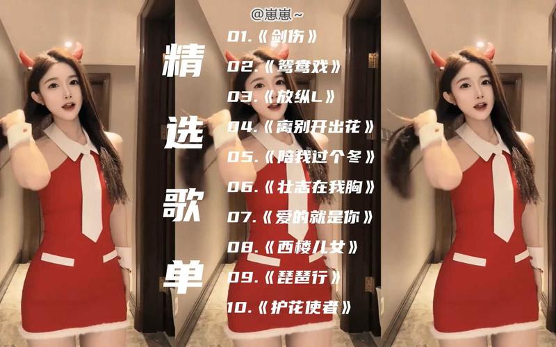 2025抖音车载音乐