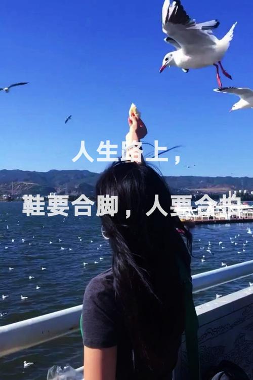 快手发什么可以上热门