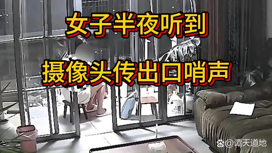 手机游戏直播摄像头