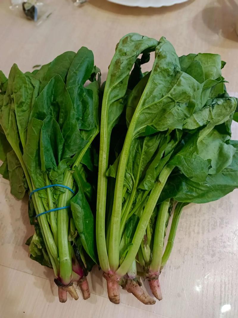 抖音菠菜一块儿视频