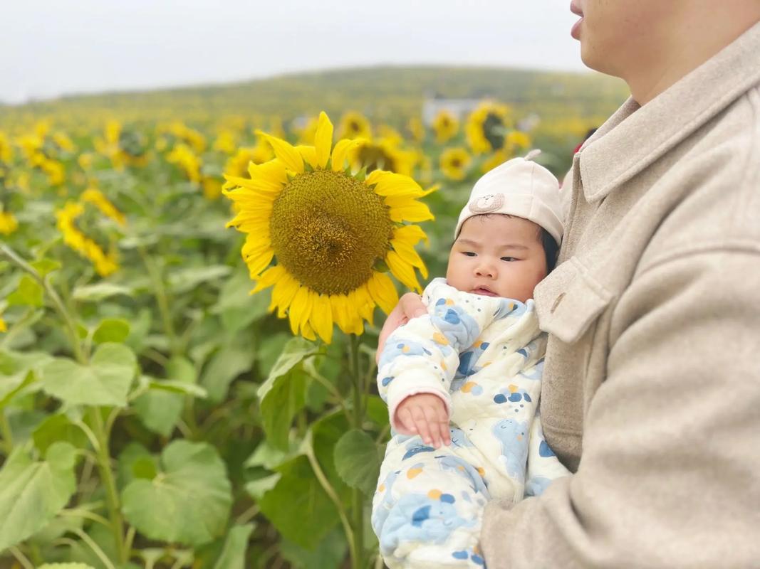七彩向日葵娃娃抖音
