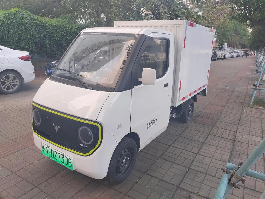 抖音同款2座电动车