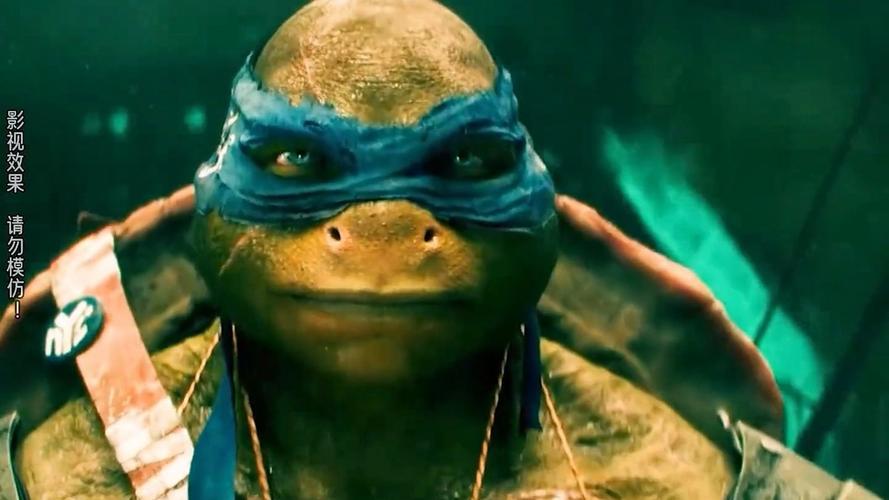 抖音小视频忍者神龟