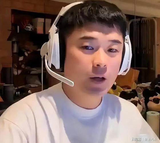 陈赫熊猫直播间吃鸡