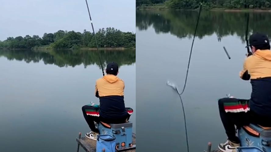 看钓鱼的电视台直播