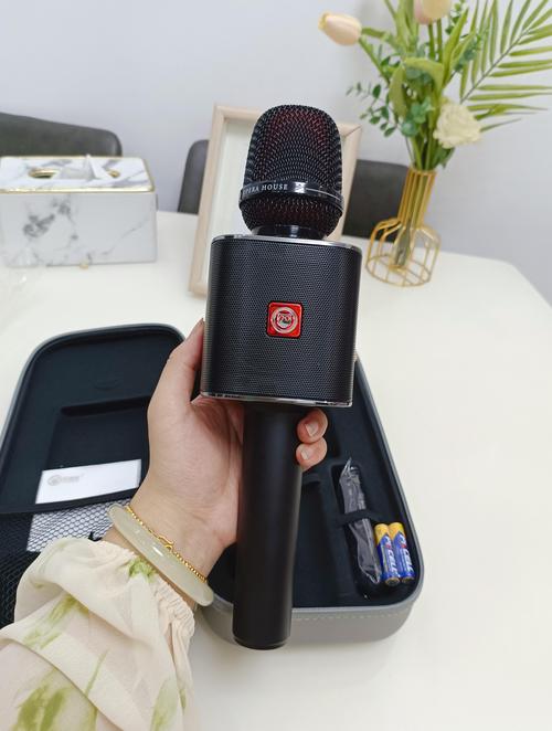 屁颠虫手机直播声卡