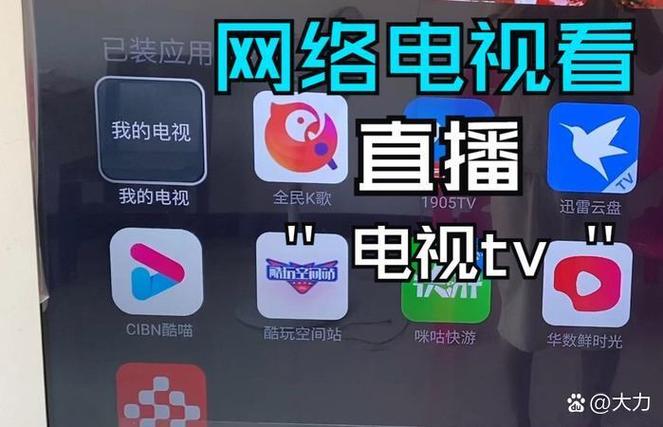 电视直播软件看不了