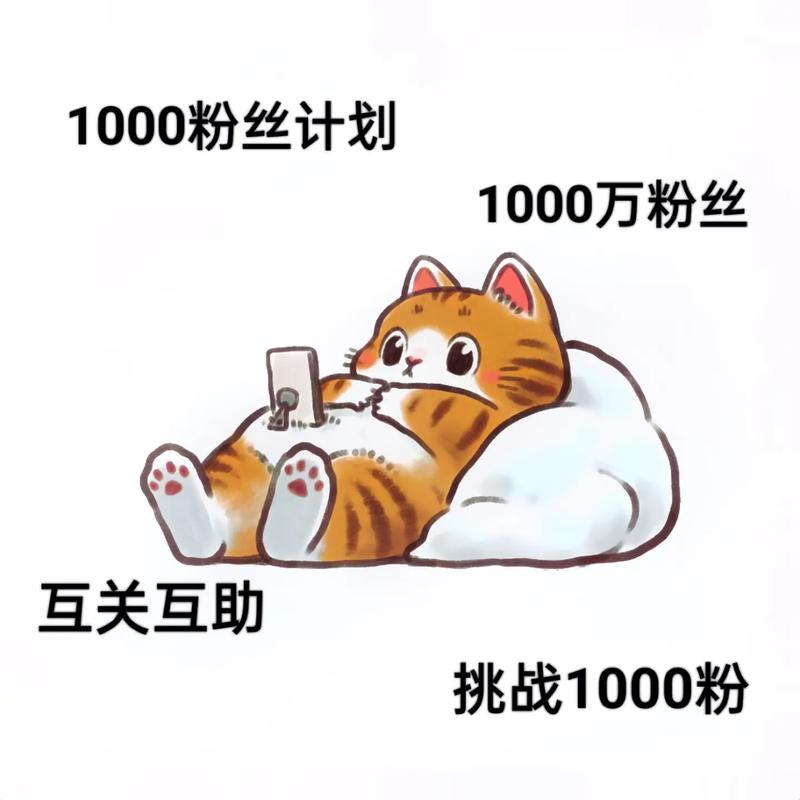 快手关注1000扩充