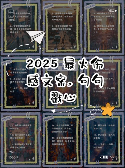 2025流行快手话语