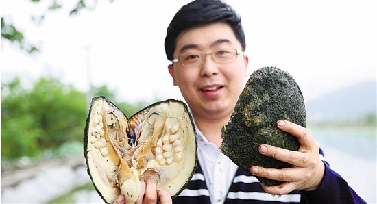 珍珠哥怎么不直播了