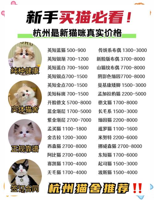 抖音里的网红猫价格