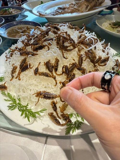 快手吃虫子那个人叫啥