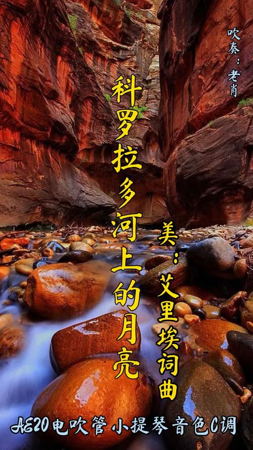 快手最火的葡萄牙歌曲