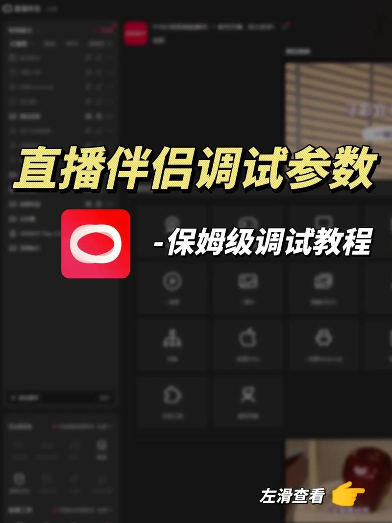 快手直播伴侣用不了