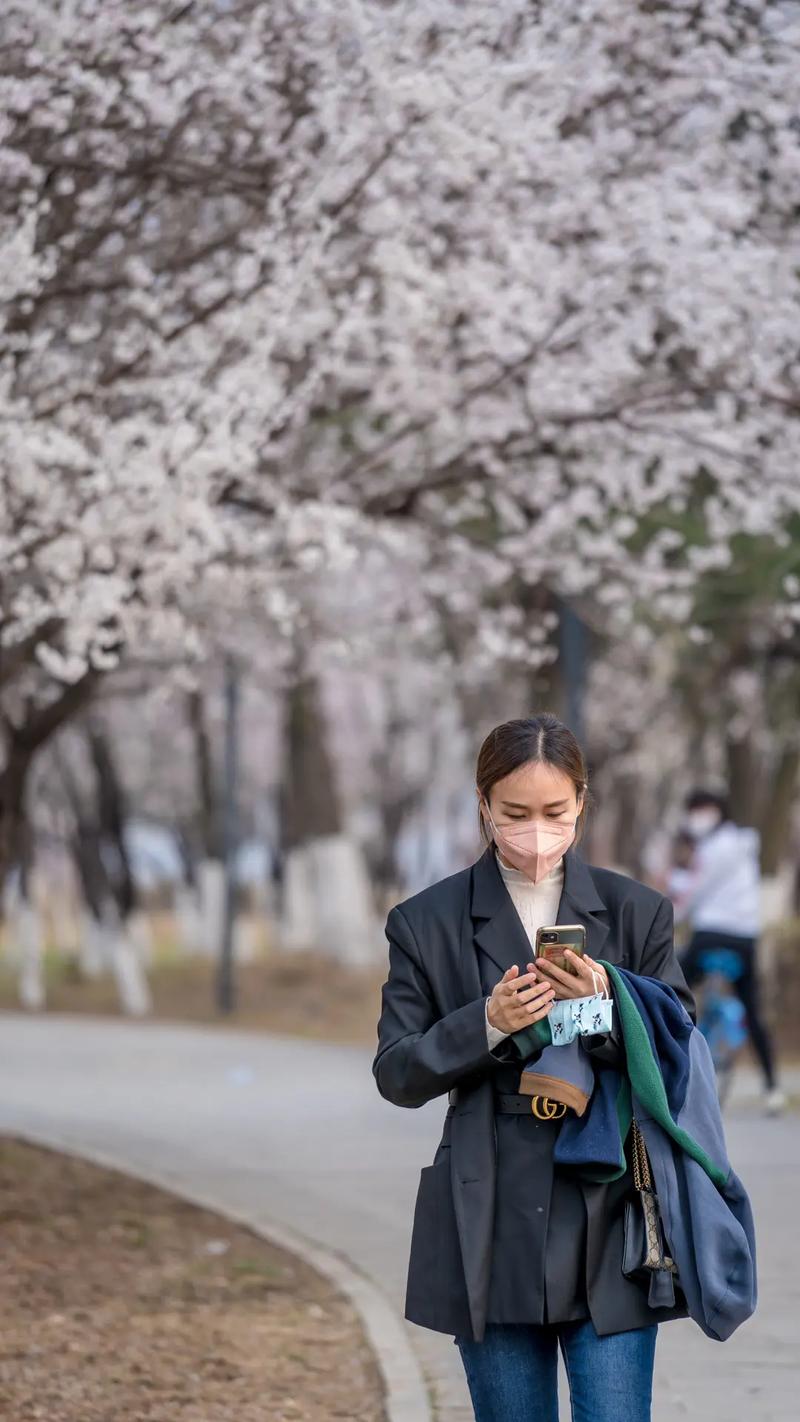辽阳交广段玉抖音号