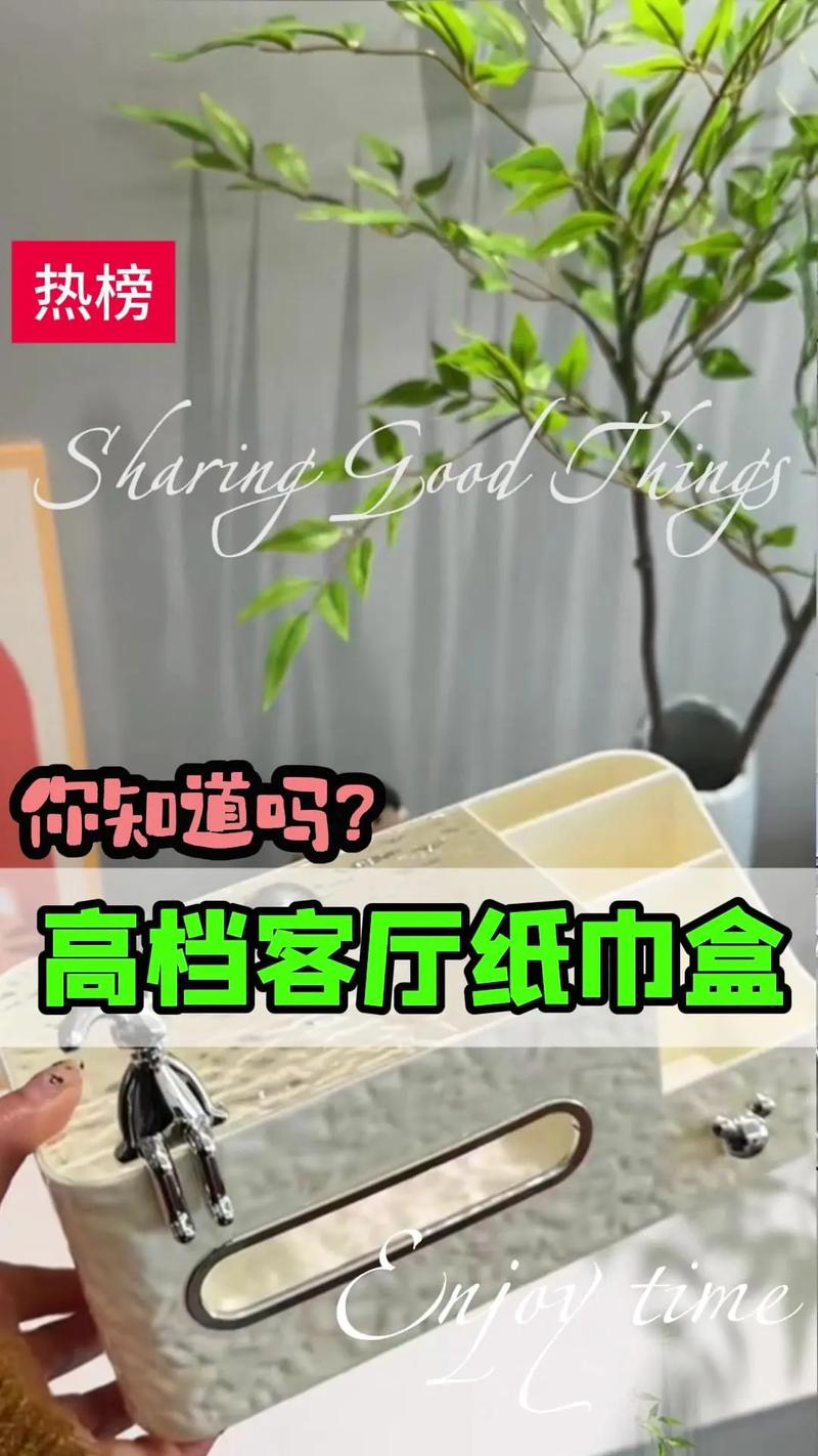 抖音上装钱的纸巾盒