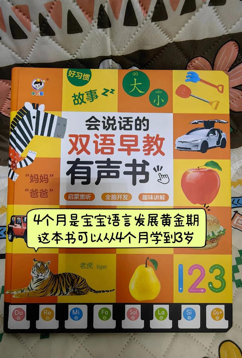 抖音教人说话五本书