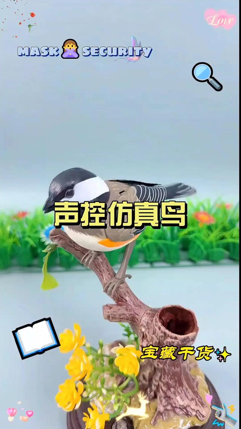 抖音有个会说话的鸟