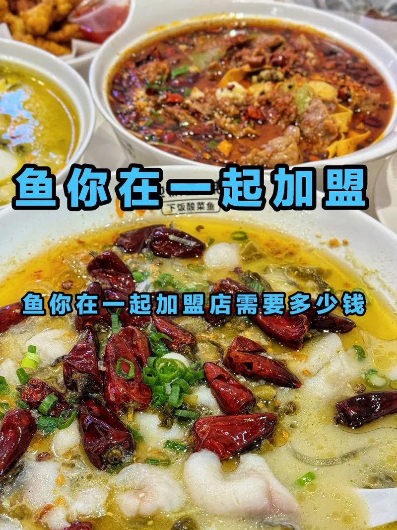 抖音里的酸菜鱼加盟