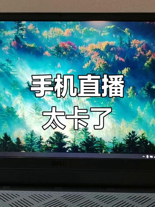 苹果手机看不了直播