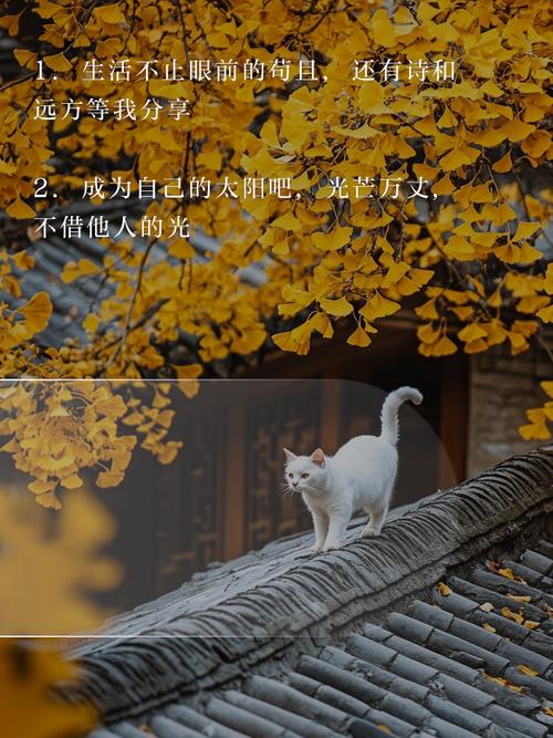 快手封面图片怎么加的