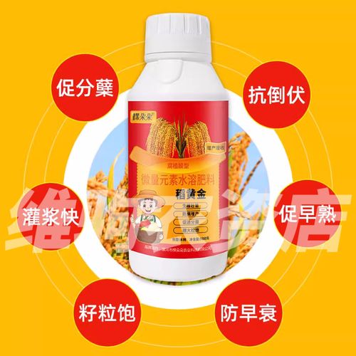 水稻直播田施肥时间