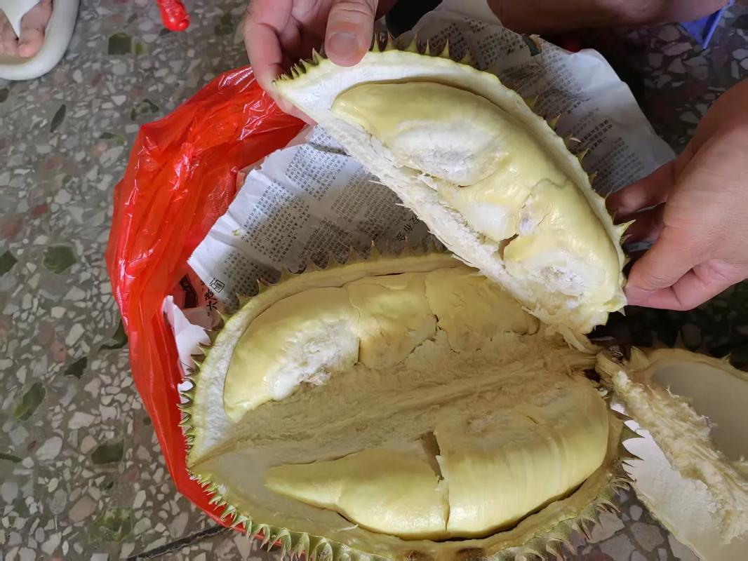 快手大口吃榴莲的视频