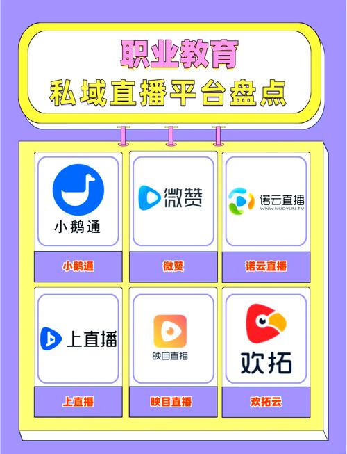 掌门全球直播是什么