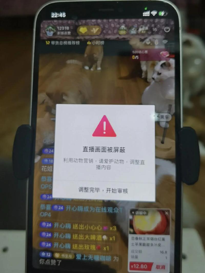 电视猫直播怎么没了