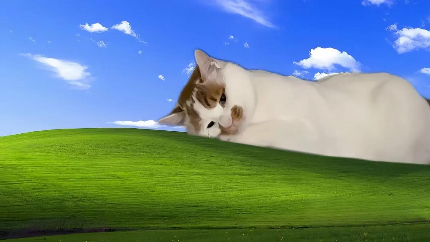 抖音里电脑桌的壁纸