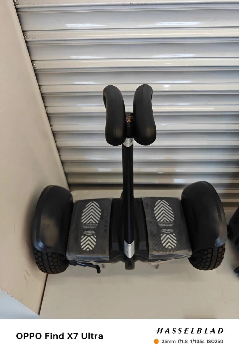 抖音上很火的平衡车