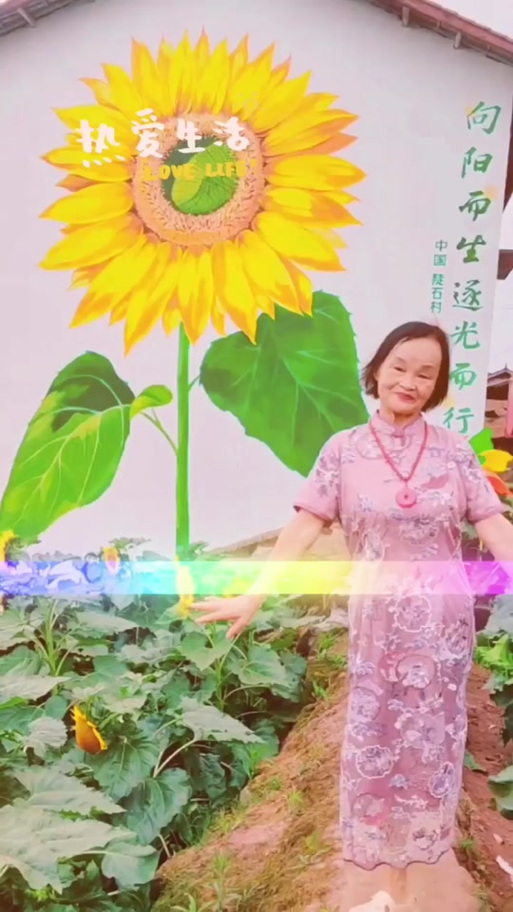 抖音上向日葵什么歌