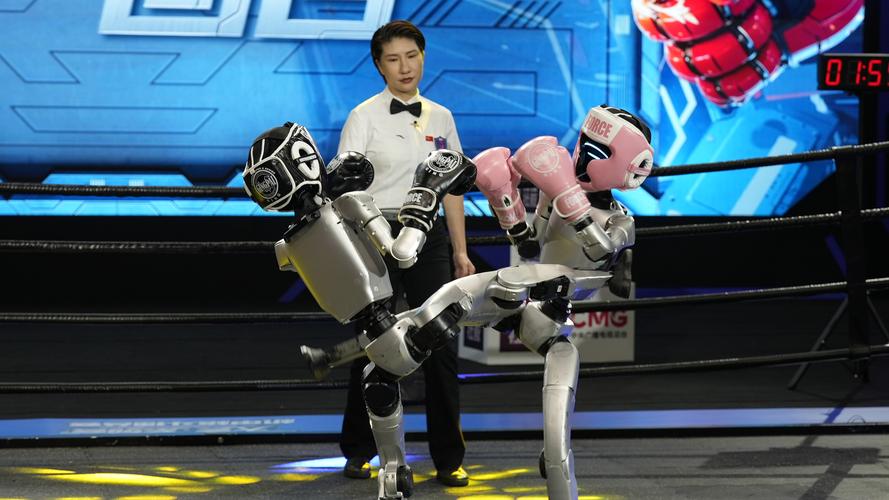 类人机器人视频直播