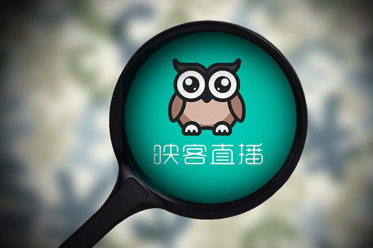 映客能用电脑直播吗